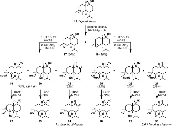 Scheme 2