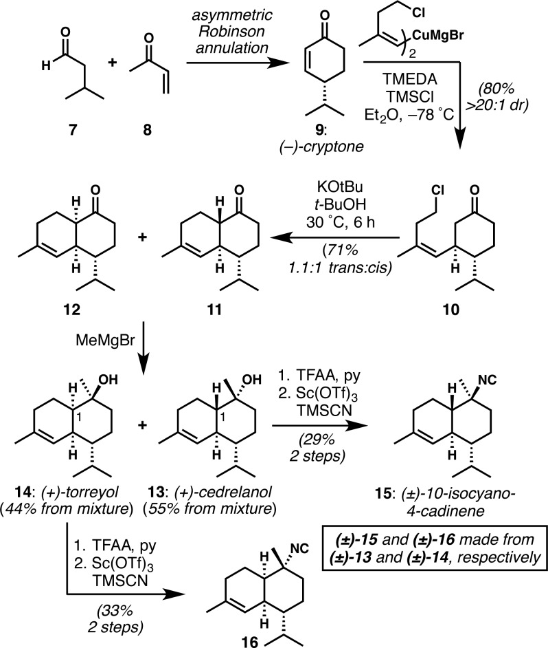 Scheme 1