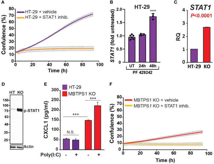 Figure 6