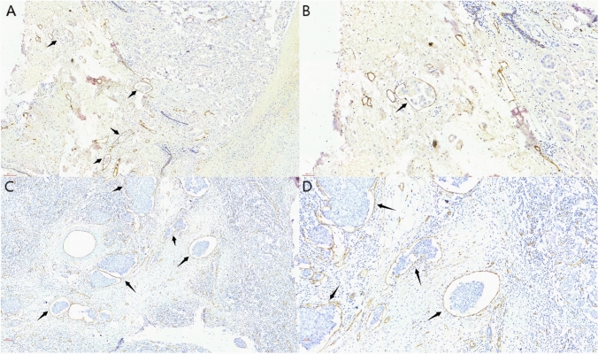 Fig. 7