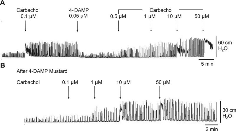 Fig. 8