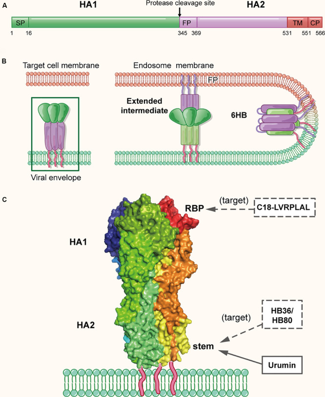 FIGURE 3