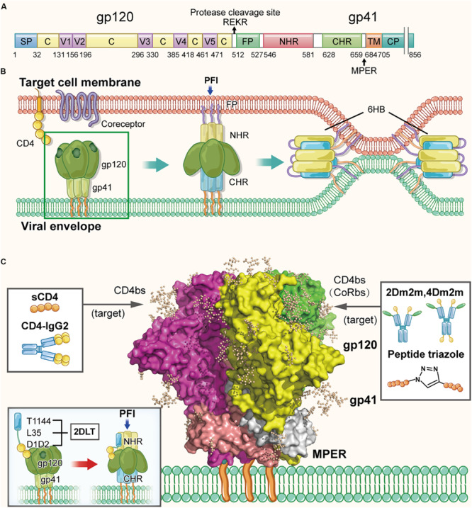 FIGURE 2