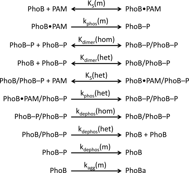 SCHEME 2.