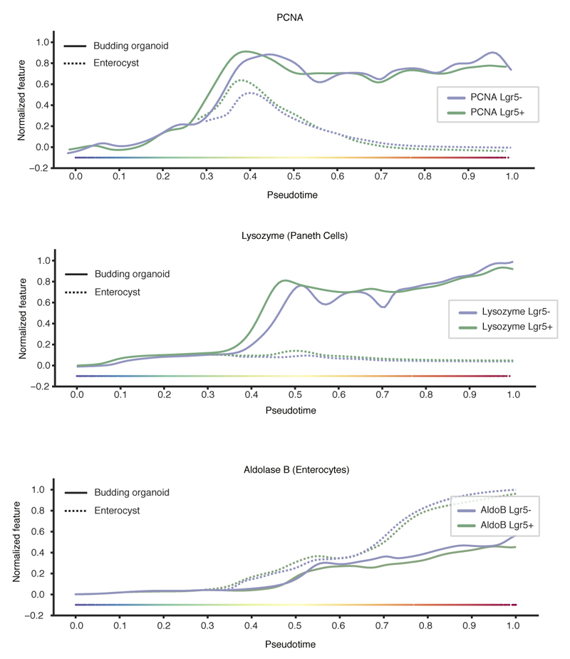 Extended Data Figure 3