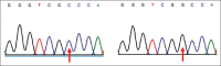 Figure-3