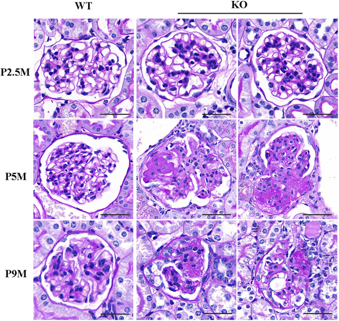 Fig. 6.