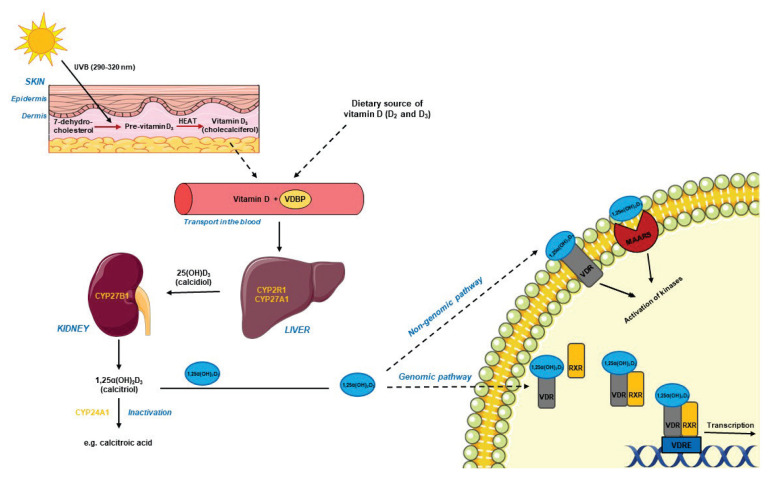 Fig. 2