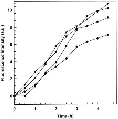 FIG. 3