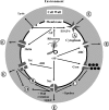 FIG. 4.