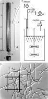 FIG. 1.