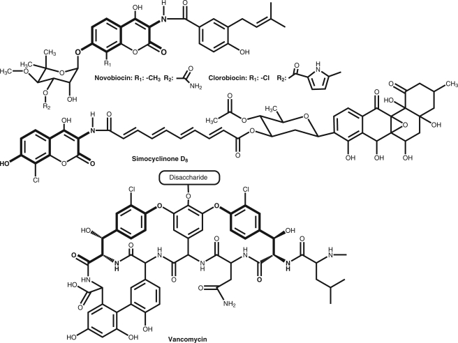 FIGURE 1.