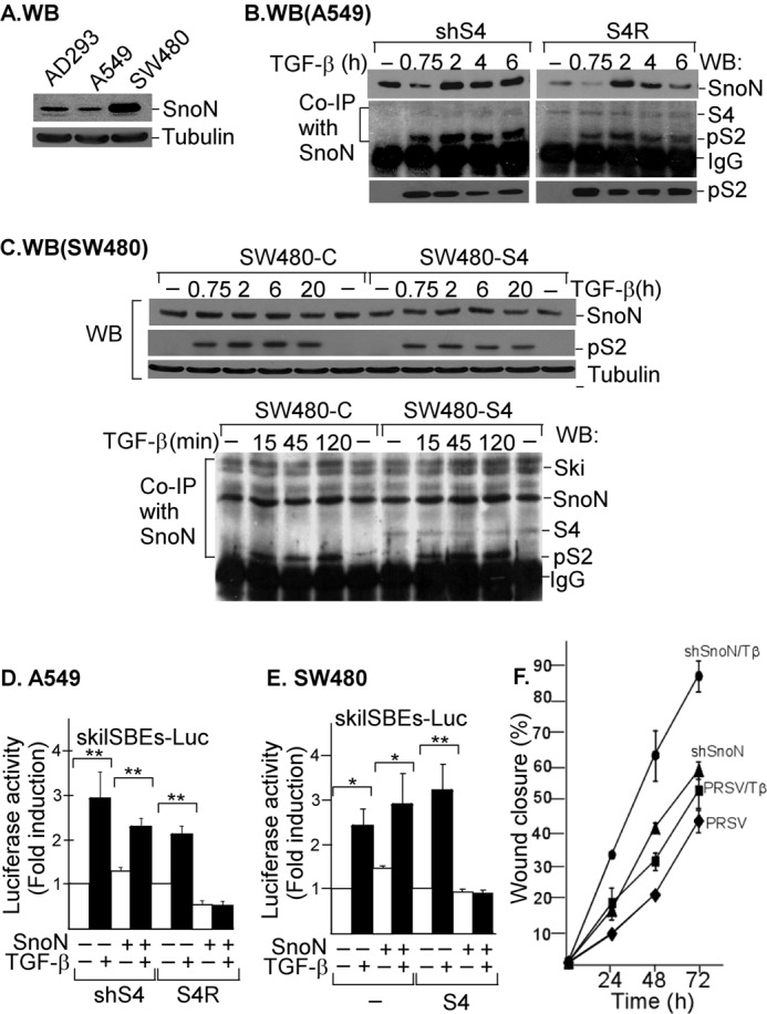 FIGURE 7.