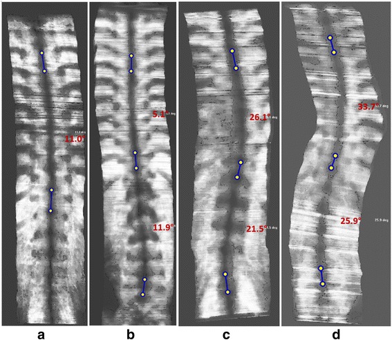 Fig. 5