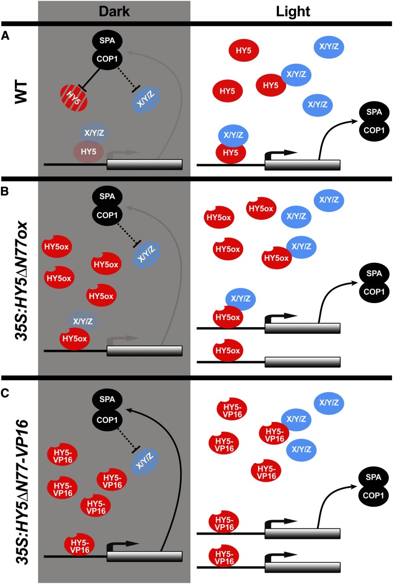 Figure 6.