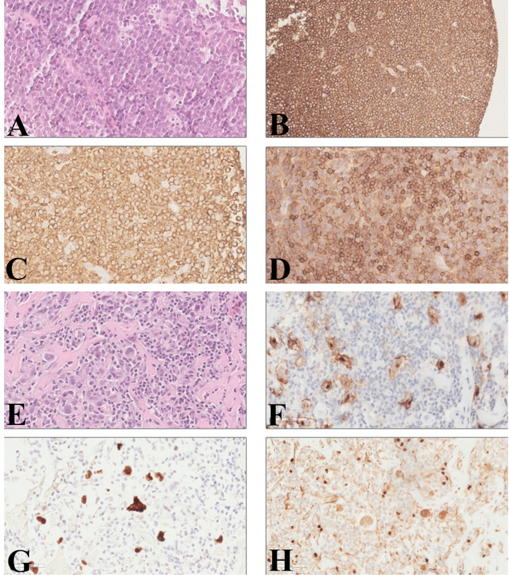 Figure 1