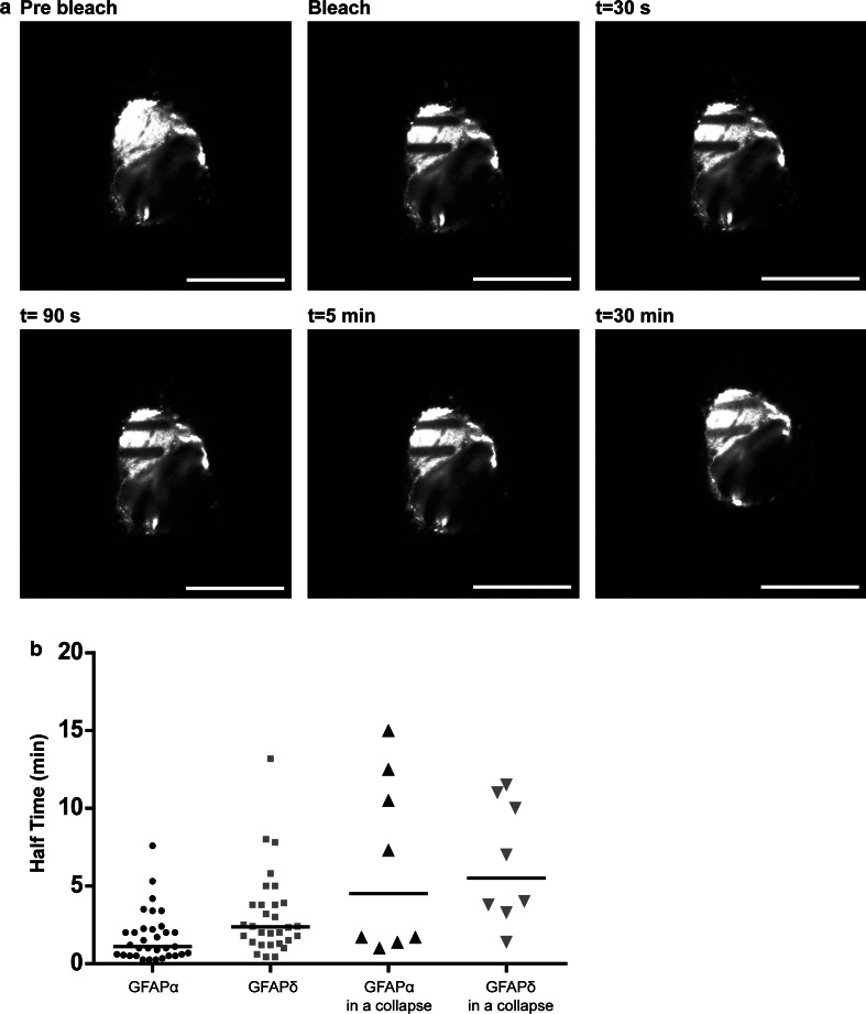 Fig. 5