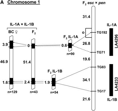 Figure 4.—