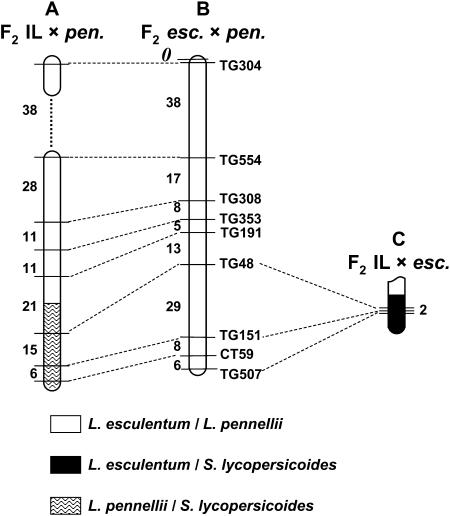 Figure 5.—