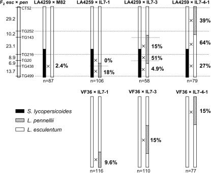 Figure 6.—