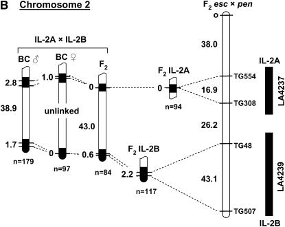 Figure 4.—