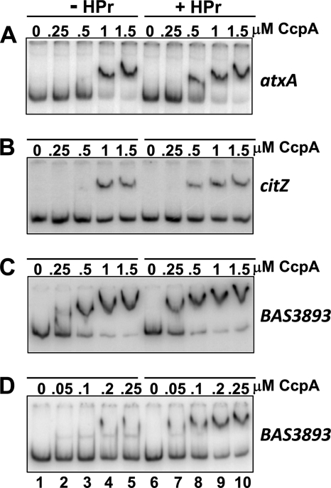 FIG. 6.