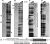 FIG. 9.