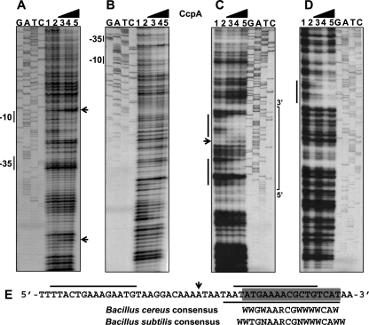 FIG. 9.