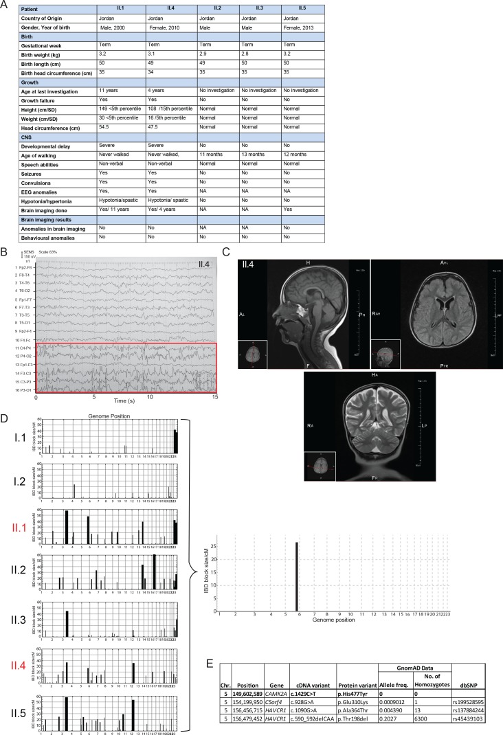 Figure 1—figure supplement 1.