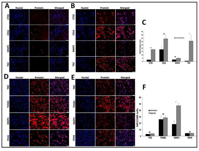 Fig. 4: