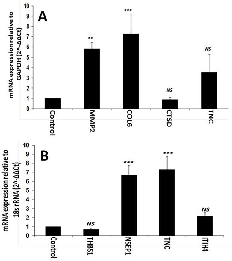 Fig. 3: