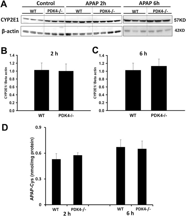 Figure 6: