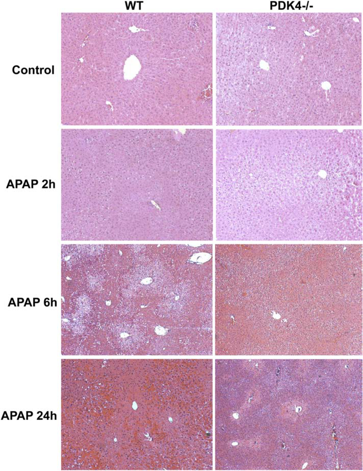 Figure 3: