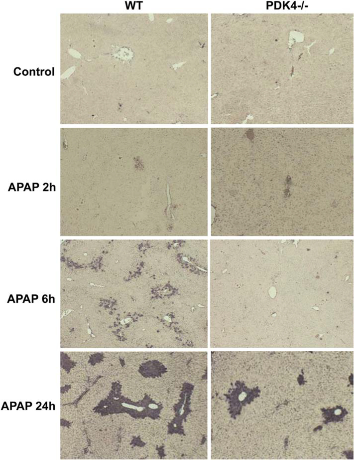 Figure 4: