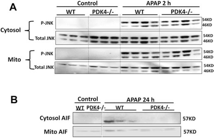 Figure 7: