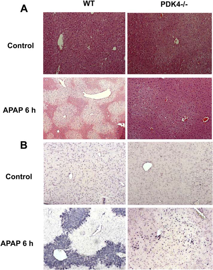 Figure 5: