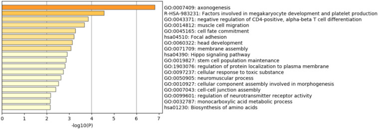 FIGURE 3