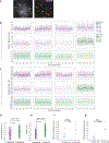 Extended Data Figure 7|