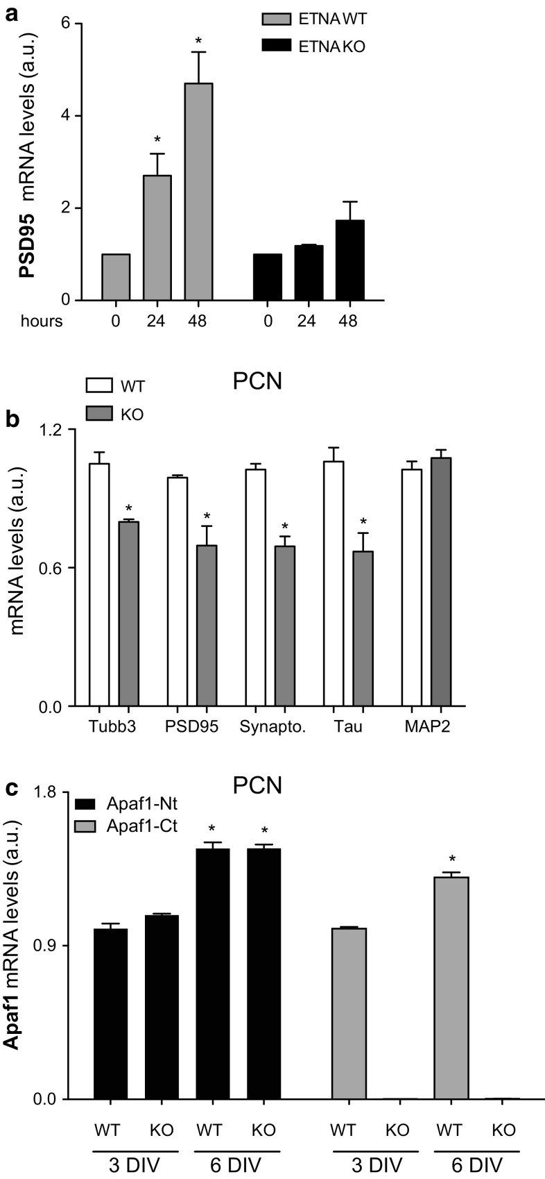 Fig. 3