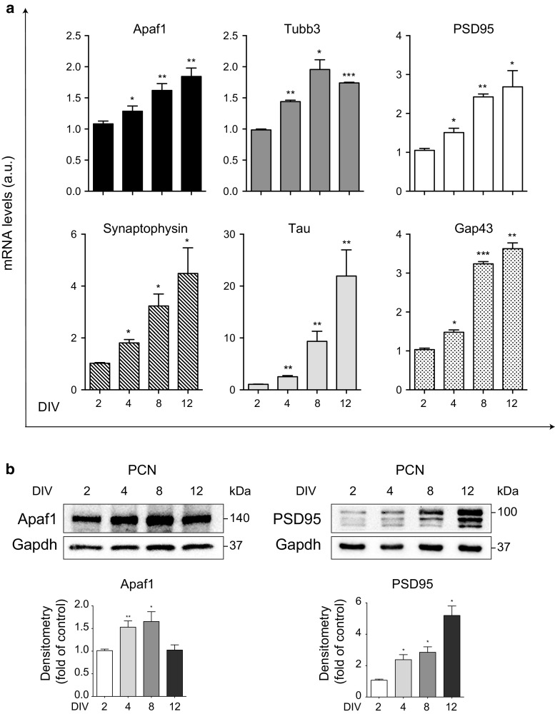 Fig. 2