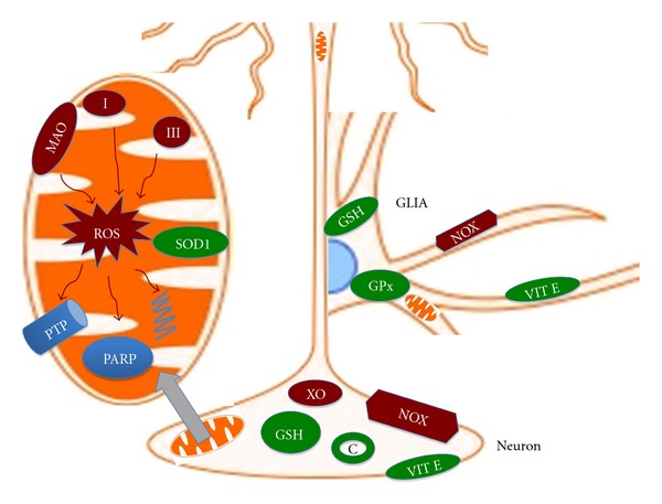 Figure 1