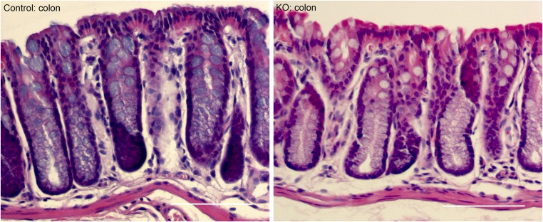 Fig. S7.