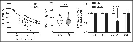 graphic file with name PHY2-10-e15478-g003.jpg