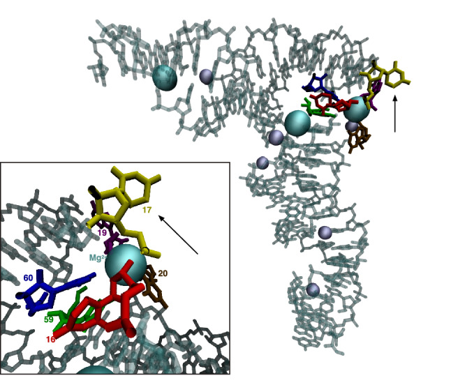 Fig. 3