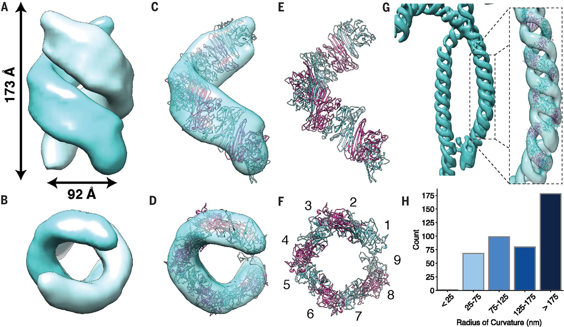 Fig. 4.