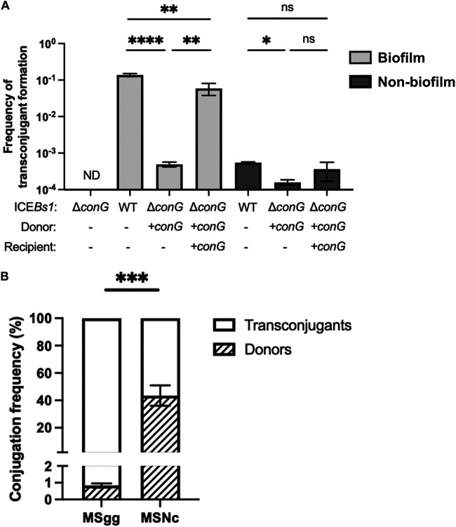 FIG 4