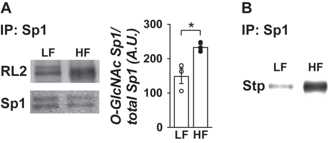 Figure 5