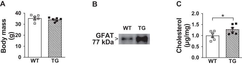 Figure 7