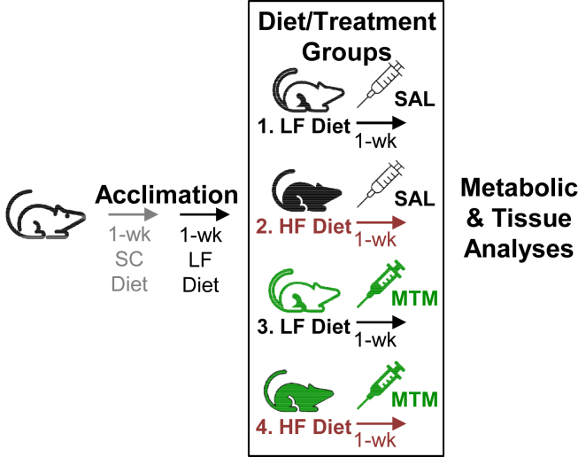 Figure 1