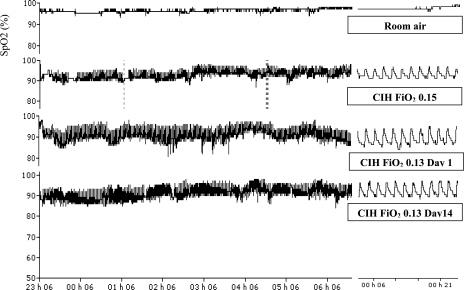 Fig. 3.